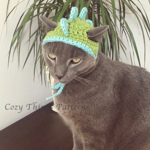 May include: A gray cat wearing a handmade crochet hat with a dinosaur-like design. The hat is green with blue accents and ties. The text "Cozy Things Patterns" is visible on the left side of the image.