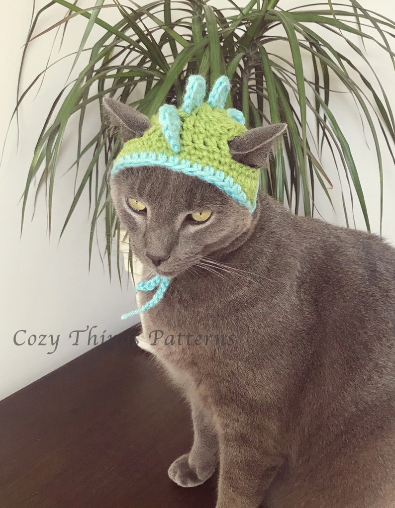 May include: A gray cat wearing a handmade crochet hat with a dinosaur-like design. The hat is green with blue accents and ties. The text "Cozy Things Patterns" is visible on the left side of the image.