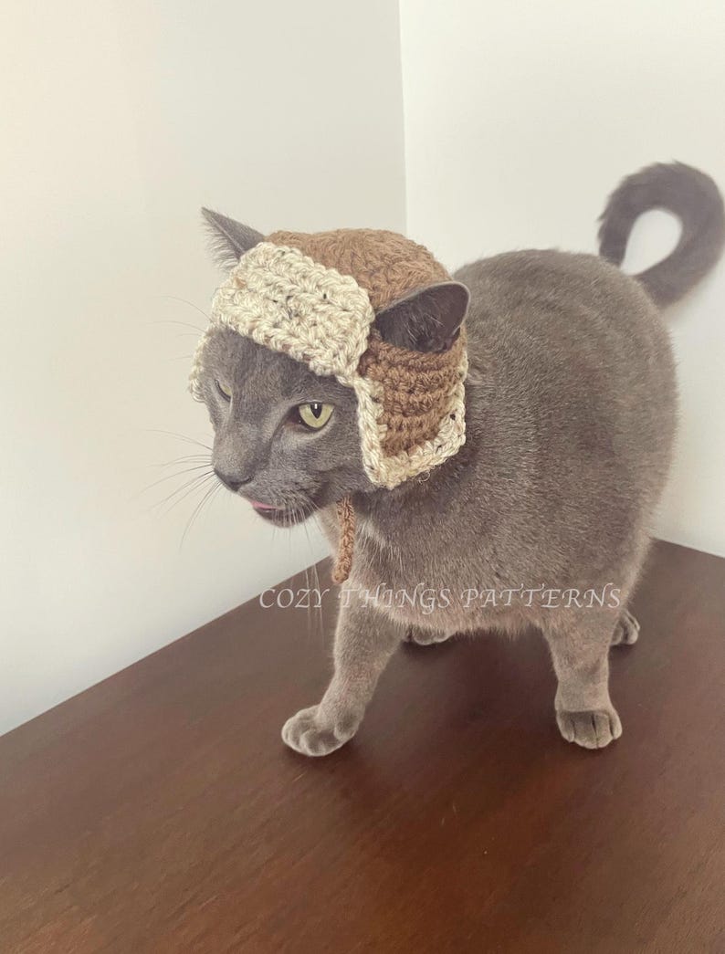 May include: A gray cat wearing a brown and white crocheted aviator hat. The cat is standing on a wooden surface. The text "Cozy Things Patterns" is visible on the surface.
