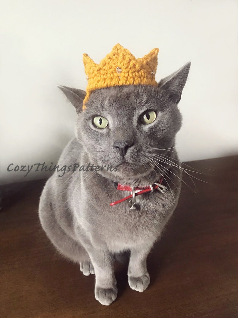 Crochet pattern 059 Crown for Cat, Crown for Small Dog, Pet Costumes, Birthday Cat Costume, Animal photo prop, Hats for cats, image 1