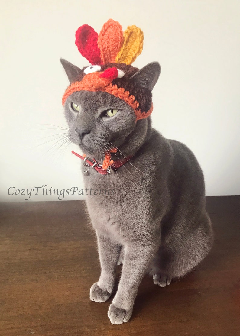 Crochet Pattern 056 Cat Turkey Hat Small Dog Turkey Hat Etsy