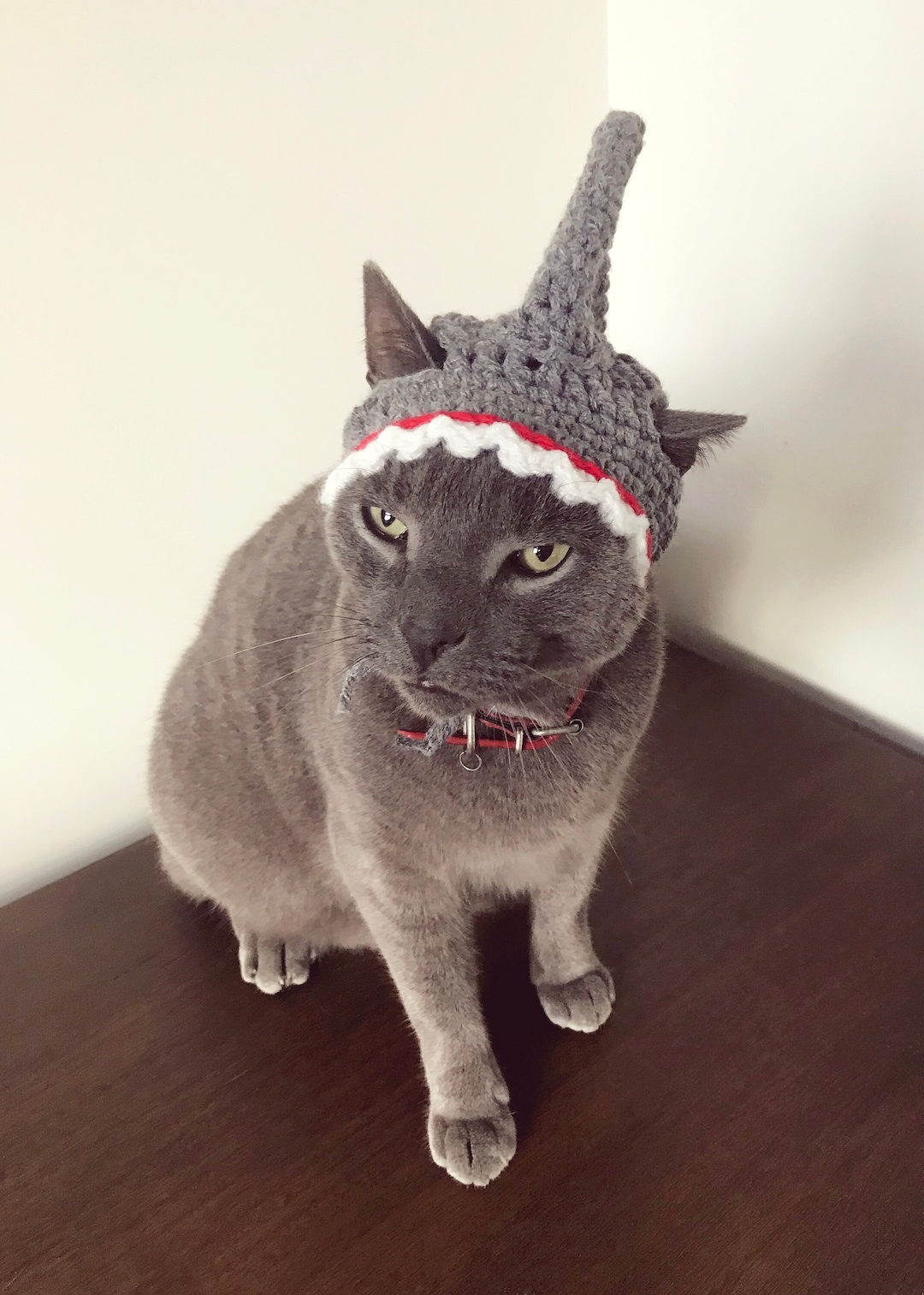 Crochet Pattern 065 Cat Shark Hat, Small Dog Shark Hat, Halloween Cat