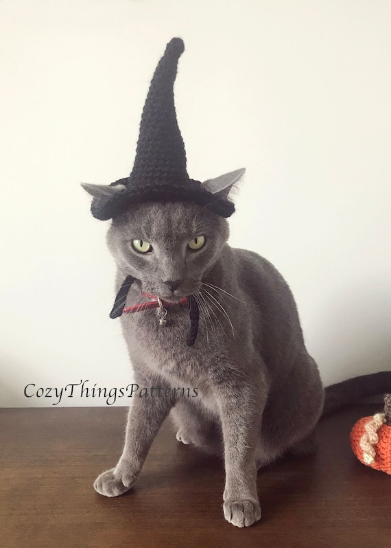 Crochet Pattern 063 Cat Witch Hat, Small Dog Witch Hat, Pet