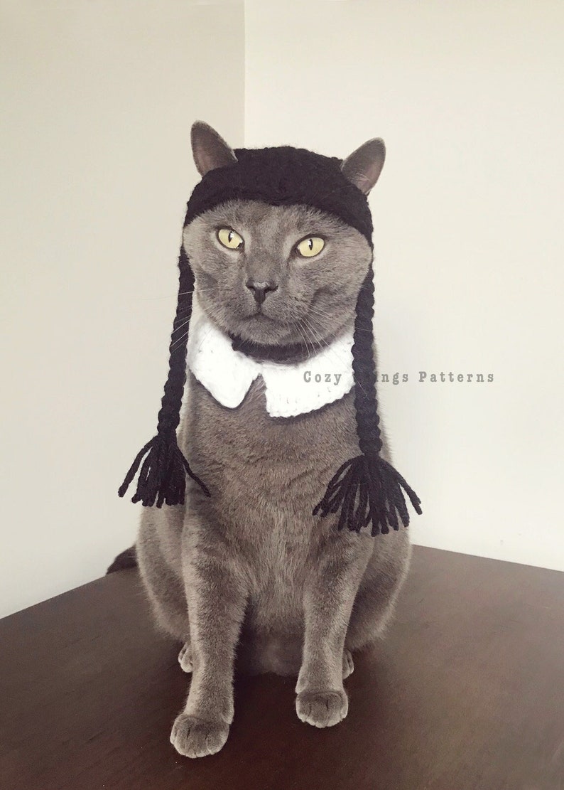 Wednesday Addams Cat Costume.