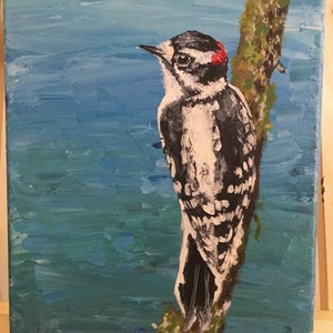 Downy Woodpecker
