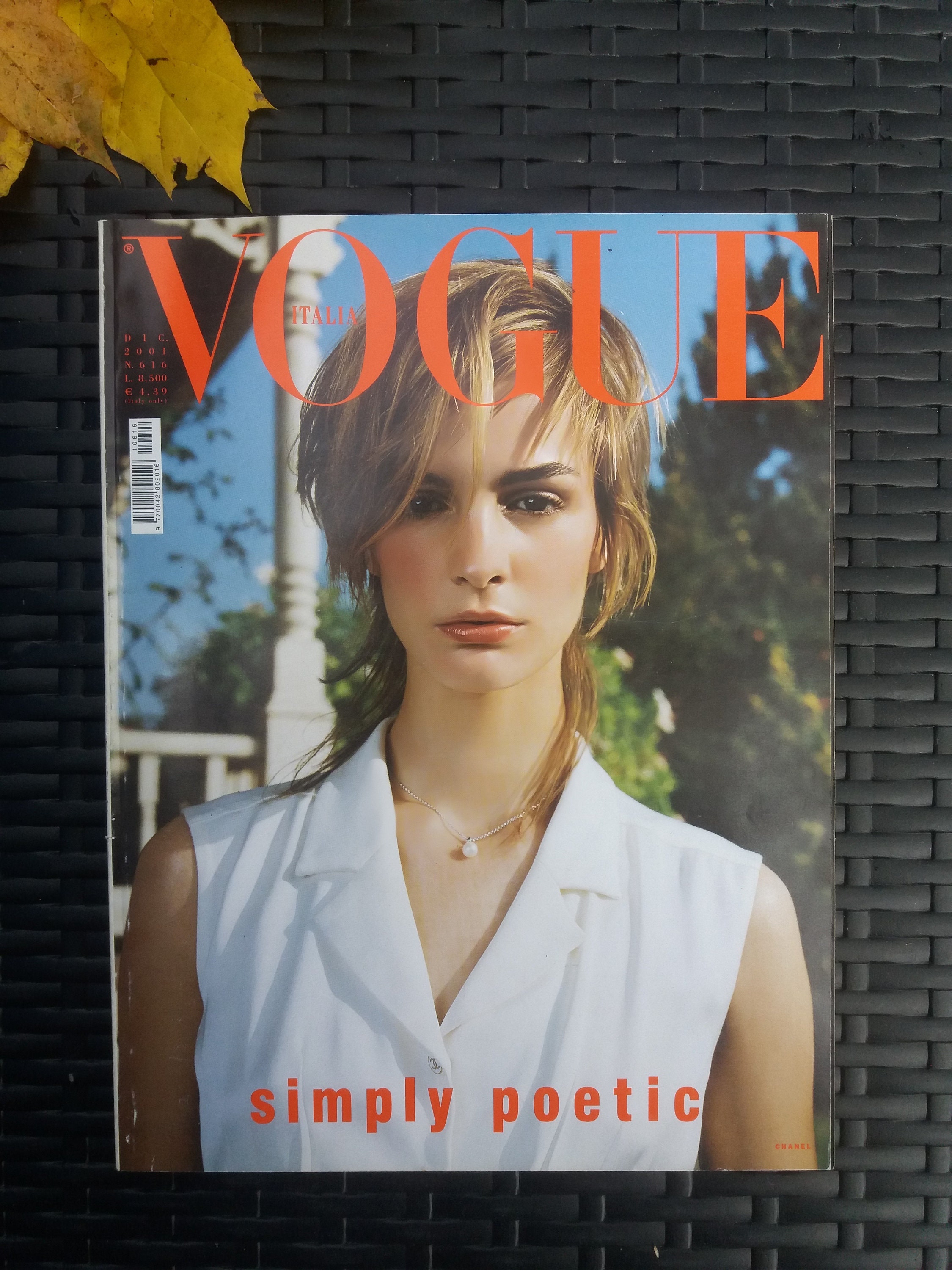 Daphne's Diary English Edition – Issue 3 2022 – 10 Years – Downloadable  Magazine Service