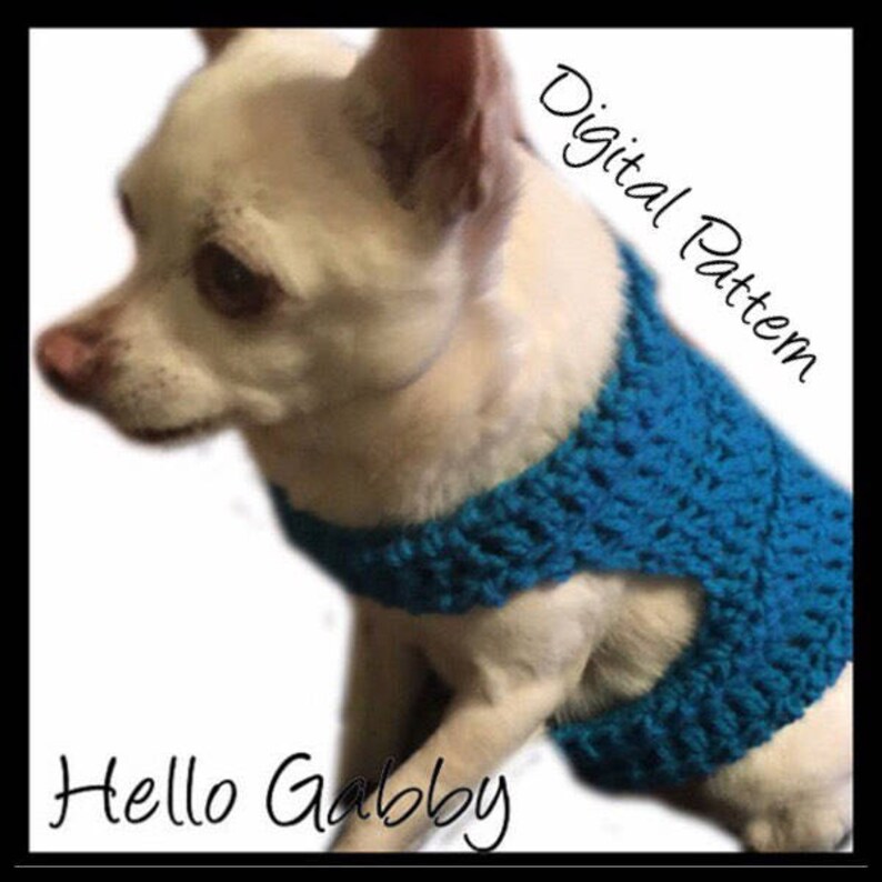 CROCHET PATTERN Dog Sweater Small Size Dog Pet Chihuahua Etsy