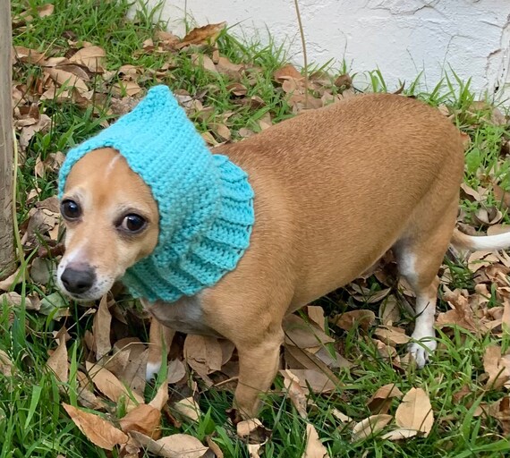 Dog hot sale birthday sweater