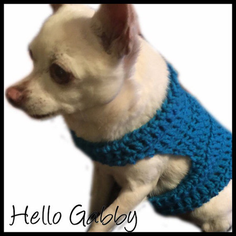 Dog Sweater Medium Size CROCHET PATTERN Dog Pet Maltese Etsy
