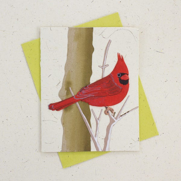 Mr. Ellie Pooh's Cardinal Greeting Card - Artisan-Crafted Elephant Dung Paper