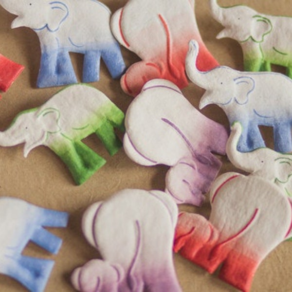 Mr. Ellie Pooh's Elephant Dung Paper Magnet Set - Sustainable and Stylish