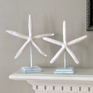 Beach Home Decor, Beach Home Accents, Starfish On Stand, Starfish Decor, Starfish, Beach Wedding Decor, Beach Table Decor, Coastal Decor image 3