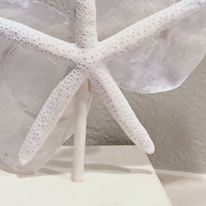 Beach Home Decor, Starfish Stand, Starfish Decor, Beach Table Accent, Table Centerpiece, Beach Accents, Large Starfish Decor, Coastal Decor image 7