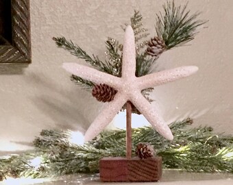 Starfish Table Accent, Beach Home Decor, Starfish Stand, Beach Holiday Decor, Beach Room Accents, Coastal Mantel Decor, Starfish Shelf Decor