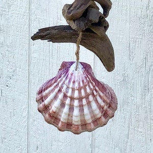 Seashell Wind Chimes, Beach Decor, Beach Wall Art, Coastal Decor, Driftwood Garland, Seashell Garland, Hanging Shells, Shell Wind Chime image 3
