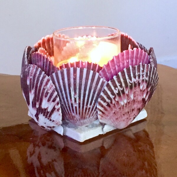 Shell Candle Holder Etsy