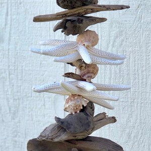 Seashell Wind Chimes, Beach Decor, Beach Wall Art, Coastal Decor, Driftwood Garland, Seashell Garland, Hanging Shells, Shell Wind Chime image 2