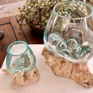 Driftwood Glass Vase, Driftwood Glass Home Decor, Beach Decor, Beach Driftwood, Coastal Decor, Small Driftwood Vase