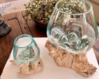 Driftwood Glass Vase, Driftwood Glass Home Decor, Beach Decor, Beach Driftwood, Coastal Decor, Small Driftwood Vase