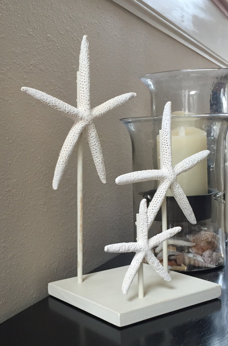 Starfish Decor Beach Decor Rustic Beach Decor Starfish Etsy UK