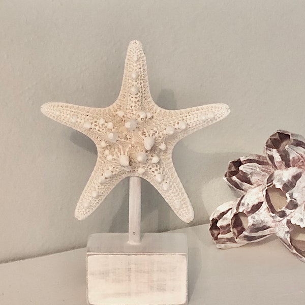 Beach Home Decor, Beach Home Accents, Starfish On Stand, Starfish Decor, Starfish, Beach Wedding Decor, Beach Table Decor, Coastal Decor