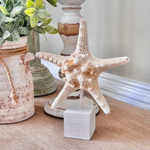 Coastal Starfish Stand: Beach Home Decor, Beach Table Centerpiece
