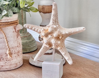 Coastal Starfish Decor • Beach Home Accent • Whitewashed Wood Base • Nautical Starfish Stand • Coastal Cottage Shelf Decor