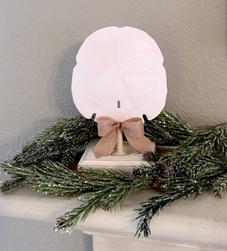 Sand Dollar Beach Decor Nursery Decor Beach Wedding Decor Etsy