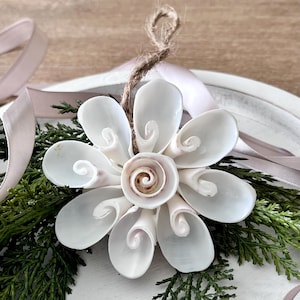 May include: A handcrafted flower ornament made from white seashells, with a spiral center and curved petals. The ornament is attached to a natural twine loop and rests on a bed of green foliage, with a pink ribbon.