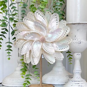 Abalone Shell Flower on Driftwood Base: Coastal Home Decor