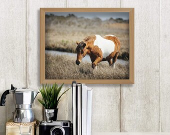Wild Horse Photography, Nature Art Print, Assateague Island Horse Photography, Equestrian Horse Gift, Wildlife Wall Art, Wild Horse Art