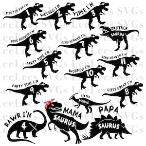 DINOSAURIER SHIRT SVG | Tshirt SVG-Bundle | Dino Themen SVG | Dinosaurier-Svg-Dateien | Benutzerdefinierte Alter Familie Passende Dino Tshirt SVG-Pack
