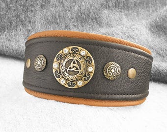 Greyhound collar dog collar many dog breeds with rivets rhinestones Sighthound greyhound Lurcher Galgo Saluki Sloughi Whippet Afghan