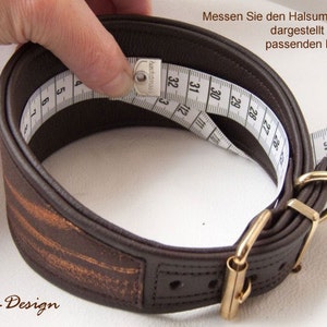 May include: A brown leather dog collar with a gold buckle and a measuring tape wrapped around it. The tape reads "Messen Sie den Halsumfang wie dargestellt in einem passenden Halsband" and "hadistmass".