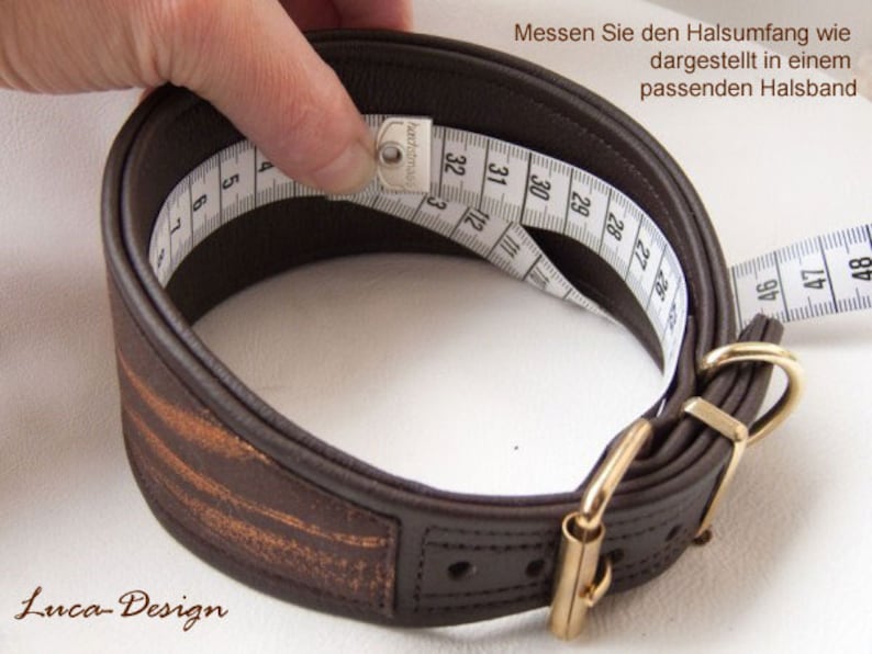 May include: A brown leather dog collar with a gold buckle and a measuring tape wrapped around it. The tape reads "Messen Sie den Halsumfang wie dargestellt in einem passenden Halsband" and "hadistmass".