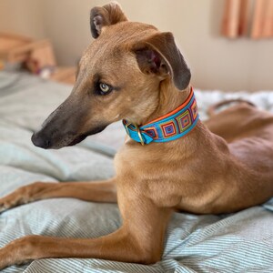 May include: A brown and tan dog with a blue and orange patterned collar lying on a striped bed.