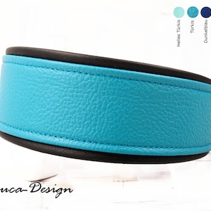May include: A turquoise leather dog collar with black trim. The collar is shown on a white background.