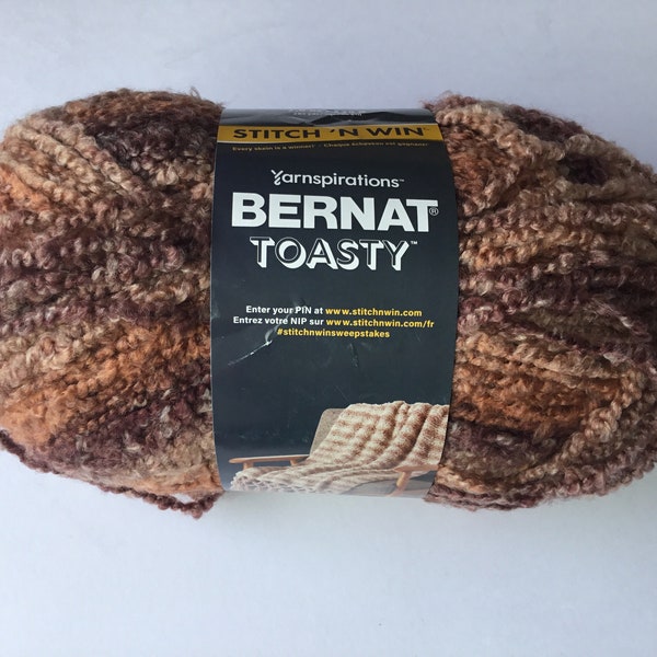 Bernat Toasty yarn 285yds/225g- Spiced Chocolate