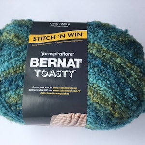 May include: A skein of teal and green Bernat Toasty yarn with a label that says "Stitch 'N Win" and "Yarnspirations".