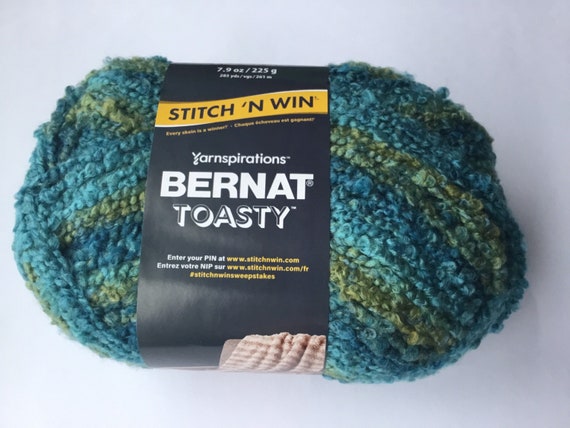 Bernat Toasty Yarn Bulky 5 285yds 225g Frosted Cactus Etsy UK