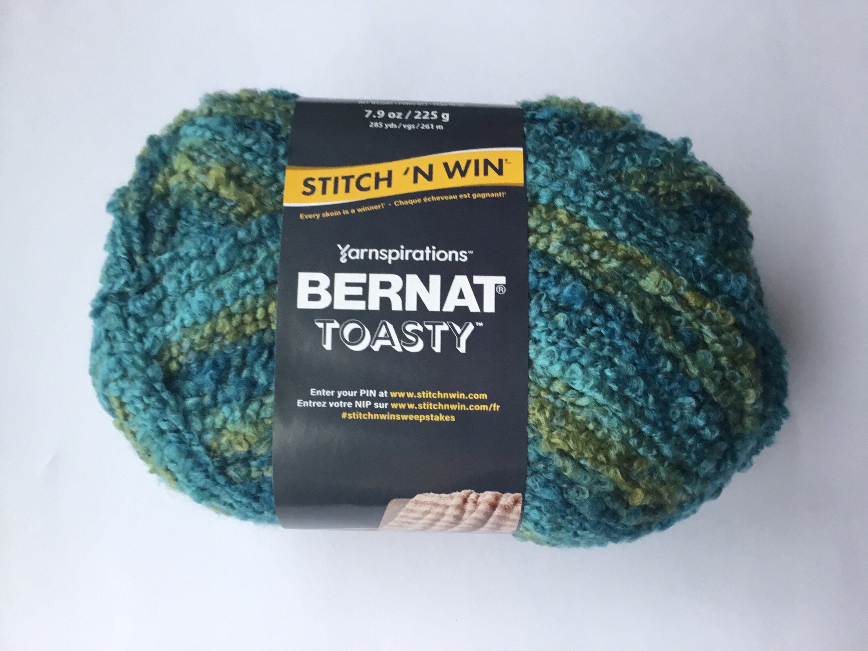 Bernat Toasty Yarn Bulky 5 285yds 225g Frosted Cactus Etsy UK