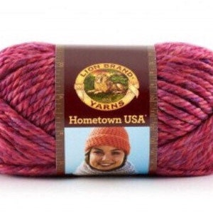 Lion Brand Hometown USA/Acrylic yarn 113g/4oz - Variety of colours available