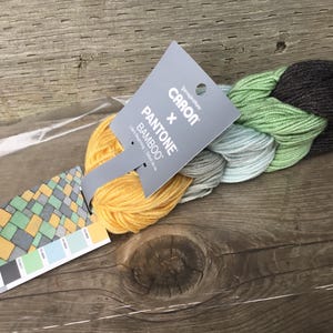 Puede incluir: Un ovillo de hilo Caron x Pantone Bamboo en degradado de colores, incluyendo amarillo, verde, gris y negro. Se adjunta una tarjeta de muestra de color. El hilo se muestra sobre una superficie de madera.
