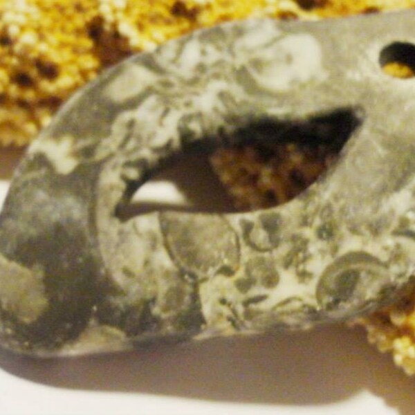 Fossil Jasper Pendant Bead, Unique Shape, Fossil Pendant, Boho Chic, Natural Stone, Ammonite Pendant, Worldwide Shipping