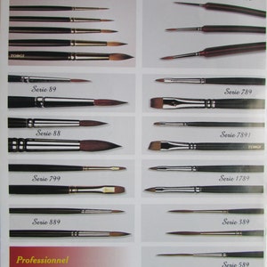 May include: A collection of paint brushes for artists, labeled with the series number and the type of brush. The brushes are arranged in rows, with the series number and type of brush listed below each row. The text at the top of the image reads "Pinceaux d'artistes/Artists' Brushes" and "Martre Rouge Red Sable".