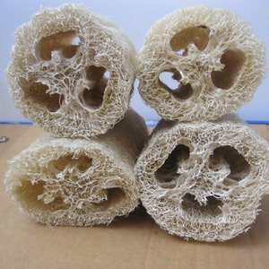 4pcs -Natural 8&#39;&#39;inch Loofah Luffa Loofa Bath Shower Sponge (BRAND NEW)