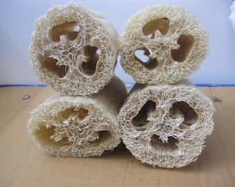 May include: Four natural loofah sponges stacked on top of each other. The loofahs are beige and have a rough, textured surface.