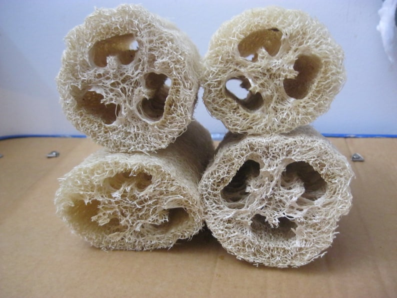 4pcs Natural 8''inch Loofah Luffa Loofa Bath Shower Etsy