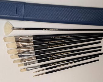 Set van 10 kunstenaarspenselen met witte borstelharen voor olie- en acryl plus penseeletui