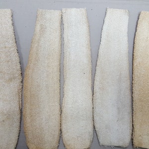 5-Luffa 16&#39;&#39;inches +- Großer Natürlicher Luffa - Luffa Bad Duschschwamm (BRANDNEU)
